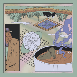 欧美黑人视频在线免费看
