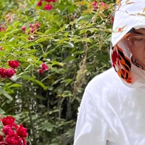 欧美黑人视频在线免费看
