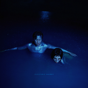 欧美黑人视频在线免费看
