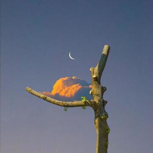 欧美黑人视频在线免费看
