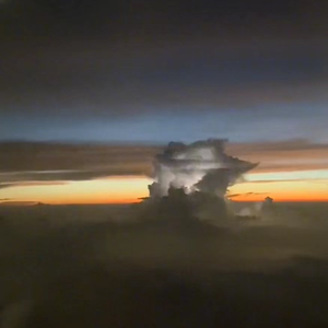 欧美黑人视频在线免费看
